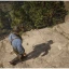 Игра Red Dead Redemption 2 для PlayStation 4 (русские субтитры)