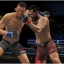 Игра UFC 4 для PlayStation 4, диск