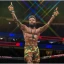 Игра UFC 4 для PlayStation 4, диск