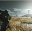 Игра Призрак Цусимы Director's Cut для PlayStation 5